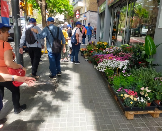 Caminades per promoure la salut de persones amb malalties cròniques