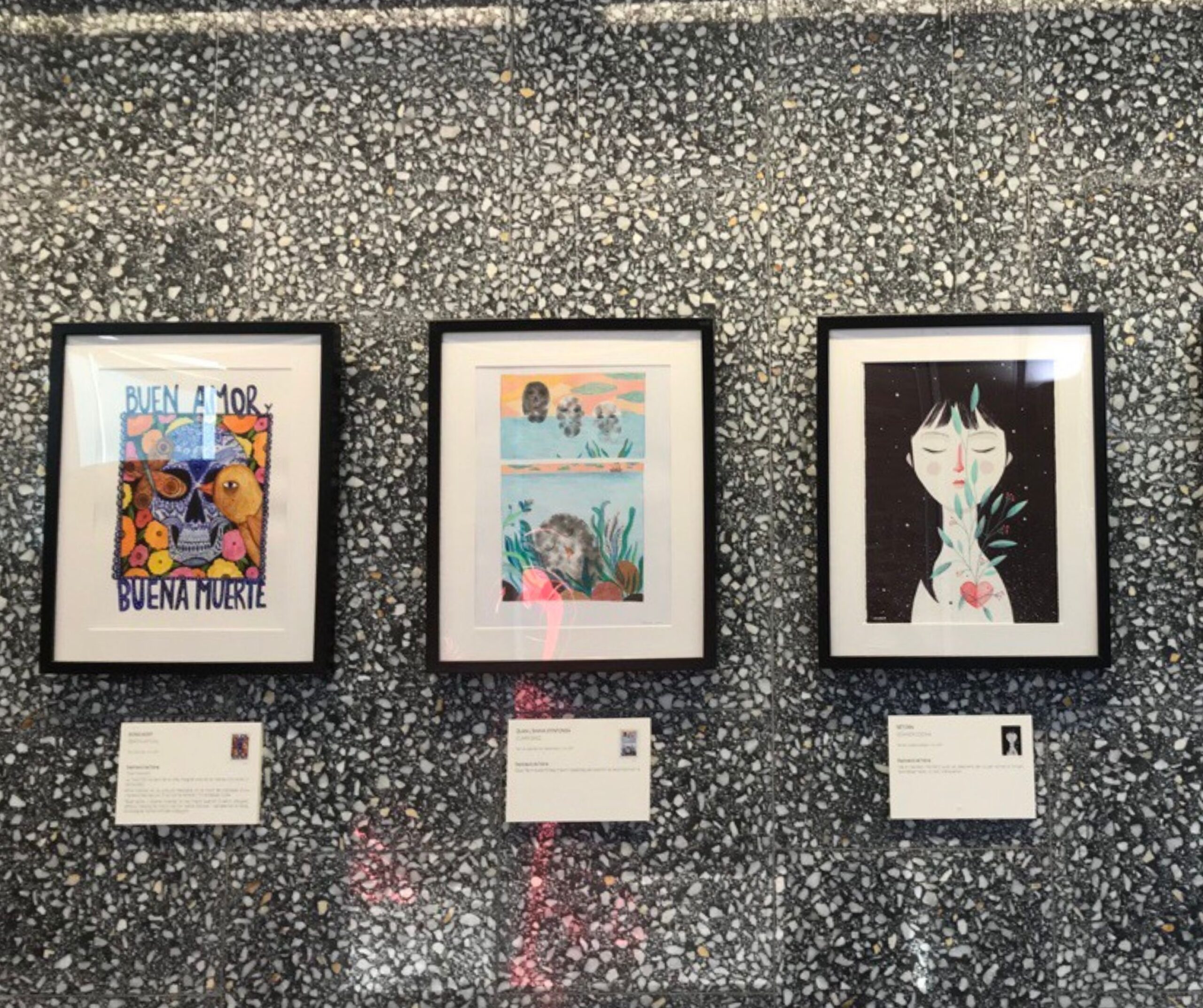 'La mort, digna i il·lustrada' s’exposa a l’Hospital de Sant Joan Despí